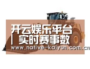 开云体育平台第三系列
