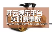 开云体育平台第二系列
