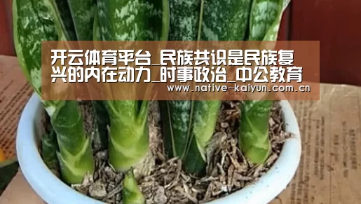 开云体育平台_民族共识是民族复兴的内在动力_时事政治_中公教育网(图3) 开元棋牌电脑版